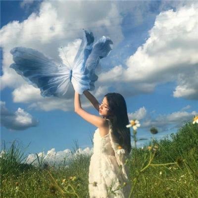 问鼎之声:球场成长日记