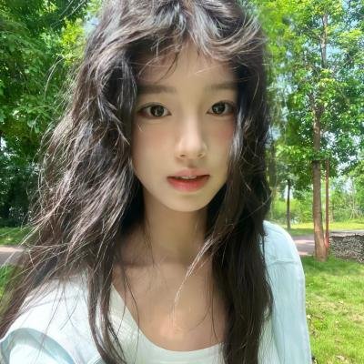 美声歌鸡